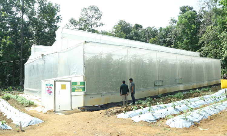 Haritha Bio Park Tourism-Panamkuzhy,Kodanad