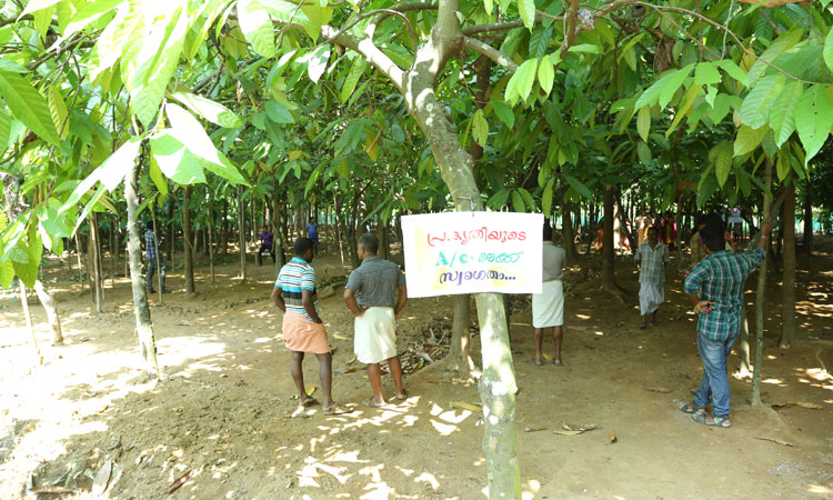 Haritha Bio Park Tourism-Panamkuzhy,Near Paniyeli