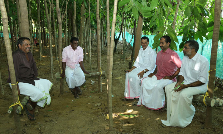 Haritha Bio Park Tourism-Panamkuzhy,Near Paniyeli