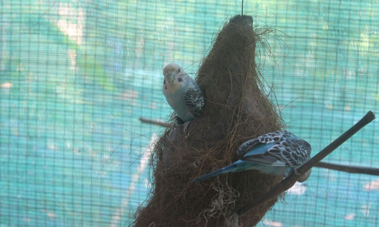 Haritha Bio Park Tourism-Panamkuzhy,Kodand