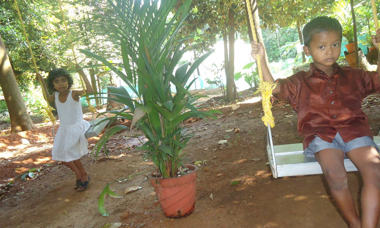 Haritha Bio Park Tourism-Panamkuzhy,Kodand