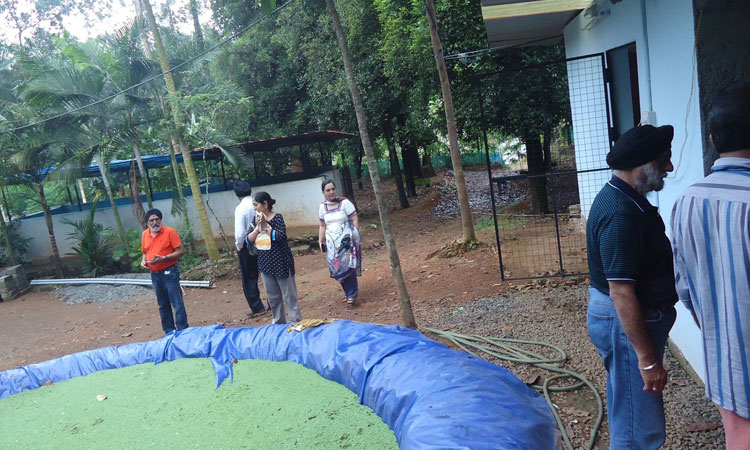 Haritha Bio Park Tourism-Panamkuzhy,Kodand