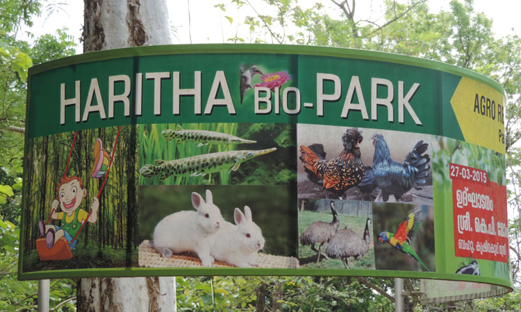 Haritha Bio Park Tourism-Panamkuzhy,Kodand