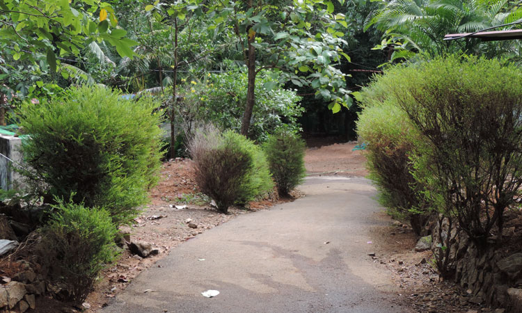 Haritha Bio Park Tourism-Panamkuzhy,Kodand