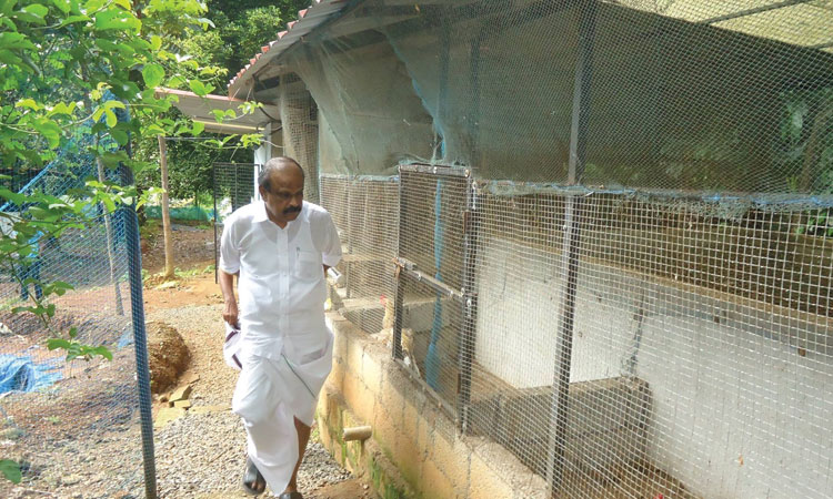 Haritha Bio Park Tourism-Panamkuzhy,Kodanad